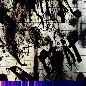 foolforshow (Explicit)