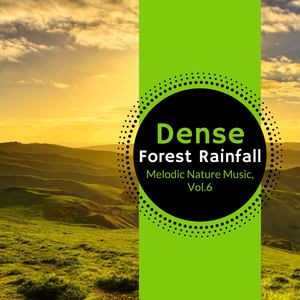 Dense Forest Rainfall - Melodic Nature Music, Vol.6