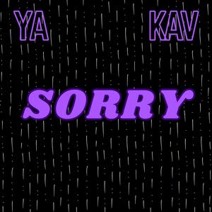 SORRY (Explicit)