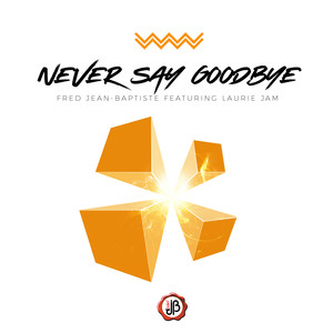 Never Say Goodbye (Caribbean Flava)