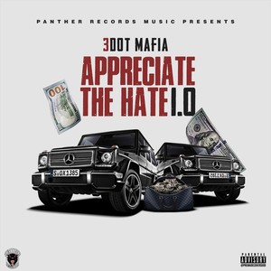 Appreciate the Hate, Vol. 1.0 (Explicit)