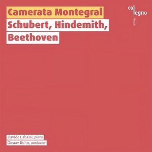 Allegro (String Quartet No. 14 in D Minor &Quot|Death and the Maiden&Quot|, D 810)