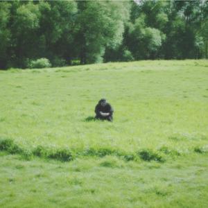 Safety (feat. 808monchi)