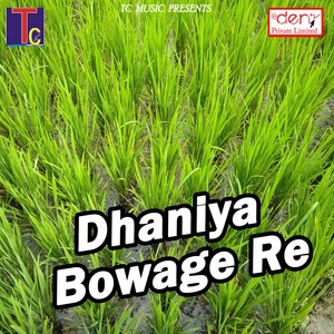 Dhaniya Bowage Re