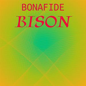 Bonafide Bison