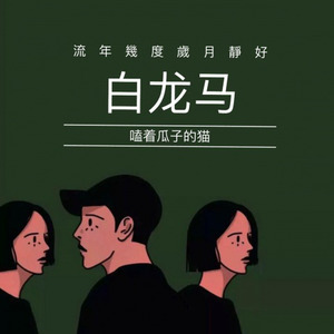 樊竹青-白龙马 (嗑着瓜子的猫 remix|魔音版)