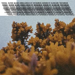 pacific rim (feat. Huaru & Cryptive) (Explicit)