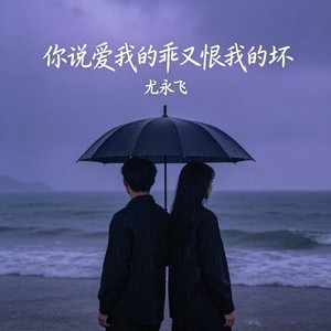 你说爱我的乖又恨我的坏 (伴奏)