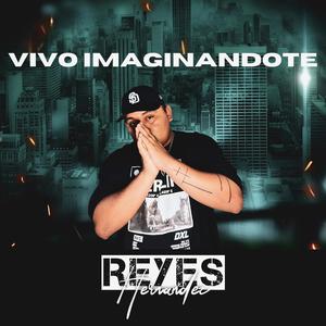 Vivo Imaginandote (En vivo)