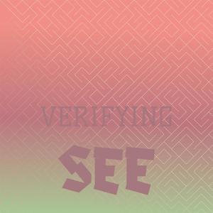 Verifying See