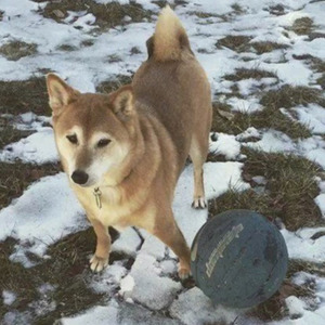 你就不要想起我 (祝我康生日快乐)