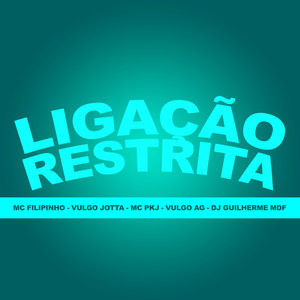 LIGAÇÃO RESTRITA