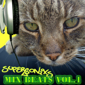 Mix Beat$, Vol. 1