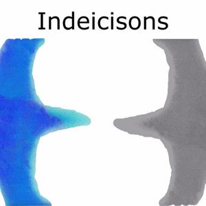 Indeicisons (Radio Edit)