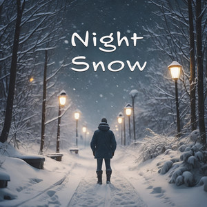 Night Snow