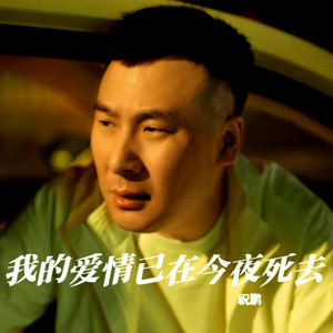 我的爱情已在今夜死去