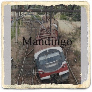 Mandingo