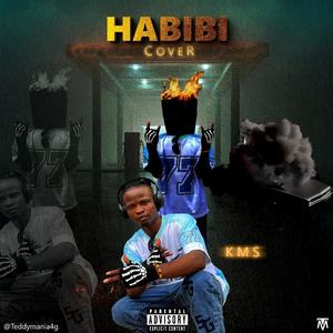 Hello Habibi (Explicit)