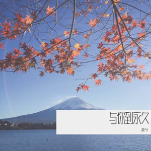 与你到永久