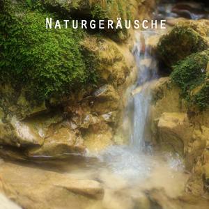 Naturgeräusche und Nature Entspannungsmusik für Meditation, Mentales Training, Autogenes Training, T