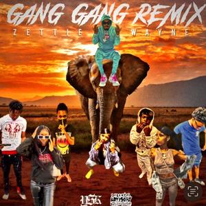 GANG GANG Pt. 2 (feat. DarDoneIt, MunchieDaGoat, MyLove, D3stickemup, NyNy, Lil Josh & Dsg2Sticks) [Explicit]