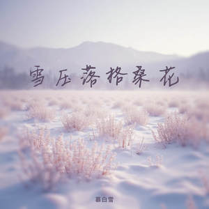 雪压落格桑花