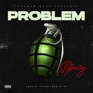 Problem (Explicit)