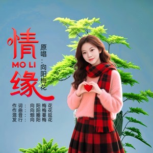 情缘 (女版伴奏)