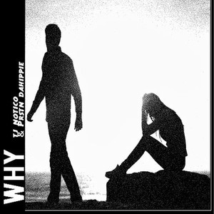 Why (Explicit)