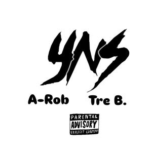 YNS (feat. A-Rob) [Explicit]