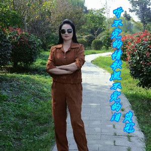 听不完的情歌流不完的泪