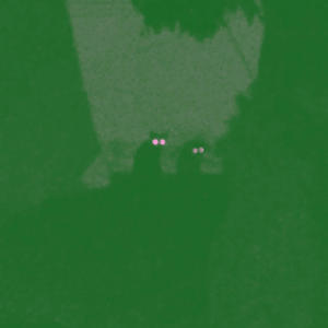 Night Vision (feat. mrsanntana & darealblackmigo|Explicit)