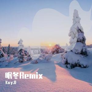 满舒克-眠冬-Remix封面