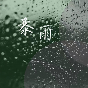暴雨 (伴奏)