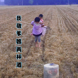 我敬爹娘两杯酒