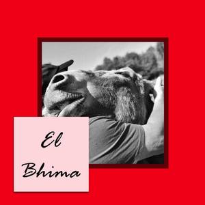 El Bhima