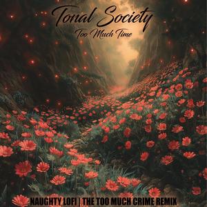 Too Much Crime (feat. Moonphase & Evan Lane) (Remix)