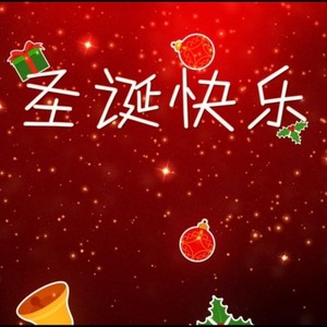 来自北国森林的一封信