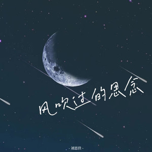 风吹过的思念封面