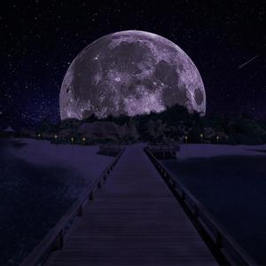 WINNING(feat. TRTL & Dai)