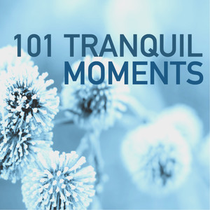 101 Tranquil Moments - Sleep Through the Night, Easy Sleep Training Soul Cleansing Melodies