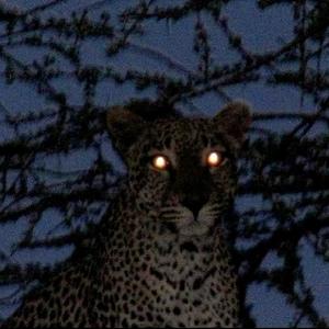 YOU AGAINST YOU (Explicit)