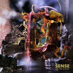 SENSE (feat. Driplla) [Explicit]