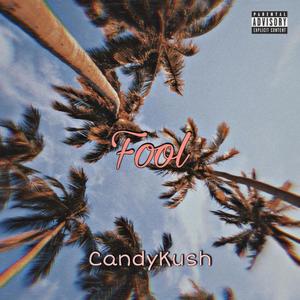 Fool (Explicit)