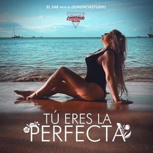 Tu eres la Perfecta