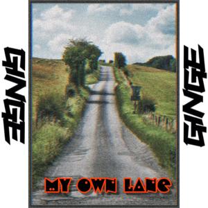 My Own Lane (feat. Munkbeats) (Explicit)