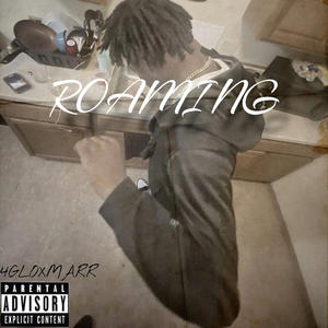 ROAMING (Explicit)