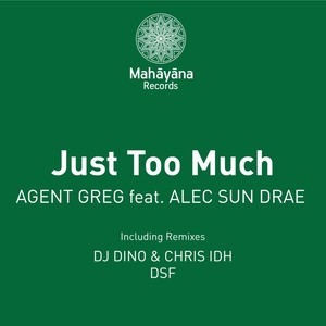 Just Too Much (Original Mix)