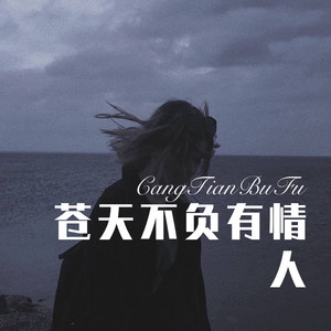 苍天不负有情人 (Remix)