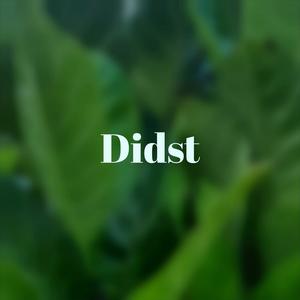 Didst